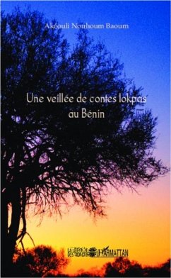 Cover Une veillee de contes lokpas au Benin (eBook, PDF)