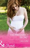 The Pregnancy Secret (eBook, ePUB)