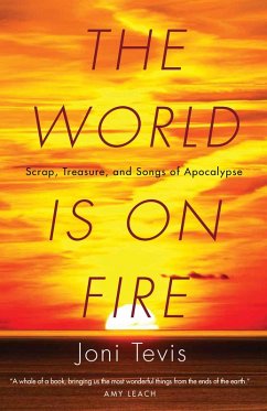 Cover The World Is on Fire (eBook, ePUB)