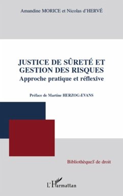 Justice de surete et gestion des risques (eBook, ePUB) - Nicolas d'Herve, Nicolas d'Herve