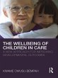 The Wellbeing of Children in Care... - Bild 1
