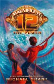 The Power (eBook, ePUB)