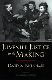 Juvenile Justice in the Making (eBook, ePUB)