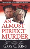 An Almost Perfect Murder (eBook, ePUB)