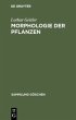 Morphologie der Pflanzen - Bild 1