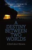 A Destiny Between Two Worlds (eBook, ePUB)