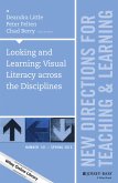 Looking and Learning (eBook, PDF)