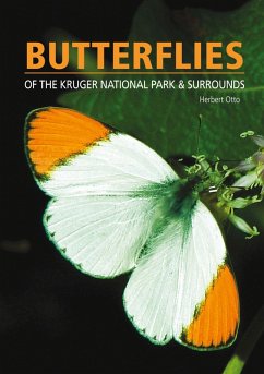 Butterflies of the Kruger National Park and Surrounds (eBook, ePUB) - Otto, Herbert