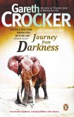 Journey from Darkness (eBook, PDF)