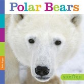 Seedlings: Polar Bears