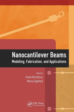 Nanocantilever Beams