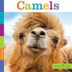 Seedlings: Camels