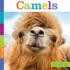 Seedlings: Camels - Riggs, Kate