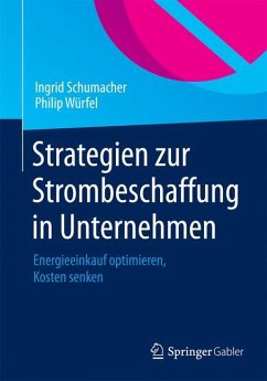 Strategien zur Strombeschaffung in Unternehmen - Schumacher, Ingrid;Würfel, Philip