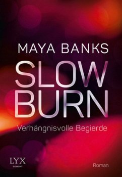 Verhängnisvolle Begierde / Slow Burn Bd.2 - Banks, Maya