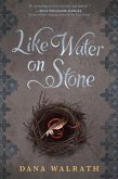 Like Water on Stone (eBook, ePUB) Like Water on Stone (eBook, ePUB)