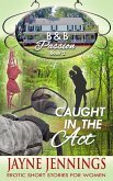 Caught In The Act (B & B Passion, #2) (eBook, ePUB) Caught In The Act (B & B Passion, #2) (eBook, ePUB)
