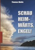 "Thomas Wolfe: Schau heimwärts, Engel!" (eBook, ePUB)