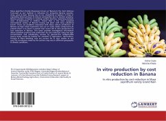 In vitro production by cost reduction in Banana