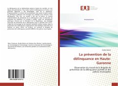 La prévention de la délinquance en Haute-Garonne - Relion, Elodie