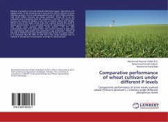 Comparative performance of wheat cultivars under different P levels - Saleem, Muhammad Farrukh;Bilal, Muhammad Faisal