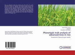 Phenotypic trait analysis of advanced lines in rice