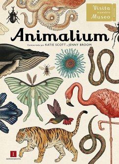 Animalium - Scott, Katie; Jenny Broom