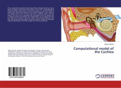 Computational model of the Cochlea - Chevko, Alexei