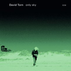 Only Sky - Torn,David