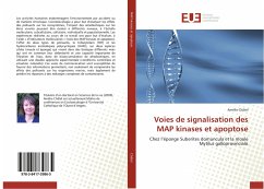 Voies de signalisation des MAP kinases et apoptose - Châtel, Amélie