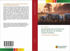 Localização de curtumes no Brasil através do modelo Coppe-Cosenza