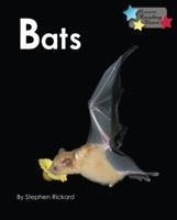 Bats - Rickard Stephen