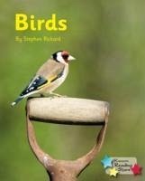 Birds - Rickard Stephen