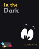 In the Dark In the Dark