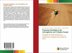 Fixação biológica de nitrogênio em Feijão-Caupi