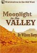 Moonlight in the Valley (eBook, ePUB) - Bild 1