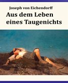 Aus dem Leben eines Taugenichts (eBook, ePUB)