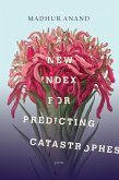 A New Index for Predicting Catastrophes (eBook, ePUB)