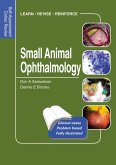 Small Animal Ophthalmology (eBook, ePUB)