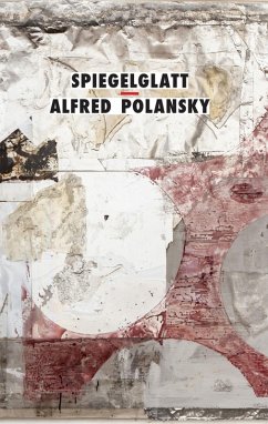Cover Spiegelglatt (eBook, ePUB)