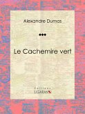 Le Cachemire vert (eBook, ePUB)