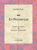En Provence (eBook, ePUB)