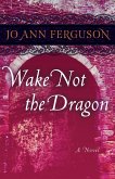 Wake Not the Dragon (eBook, ePUB)