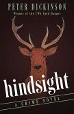 Hindsight (eBook, ePUB)