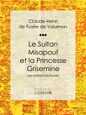 Le Sultan Misapouf et la Princesse Grisemine (eBook, ePUB)