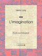 L'Imagination (eBook, ePUB) - Bild 1