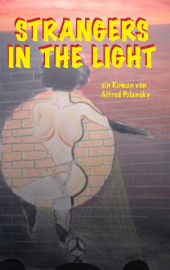 Strangers in the Light (eBook, ePUB) - Polansky, Alfred