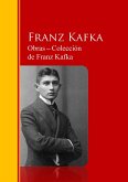 Obras - Colección de Franz Kafka (eBook, ePUB)