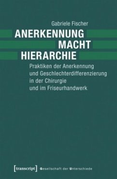 Anerkennung - Macht - Hierarchie - Fischer, Gabriele