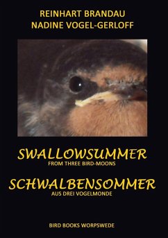 Schwalbensommer (eBook, ePUB)